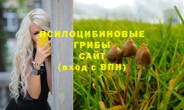 МДПВ Алексеевка