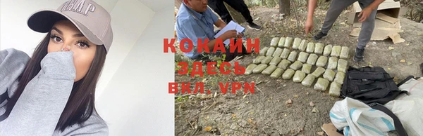 кокаин колумбия Алзамай