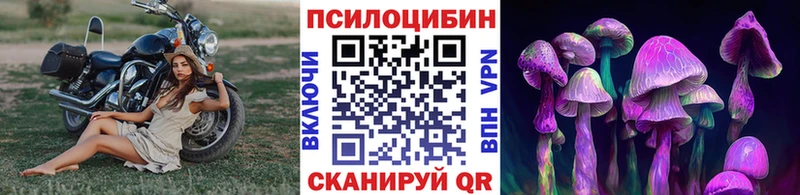 Псилоцибиновые грибы мицелий  mega онион  Себеж 